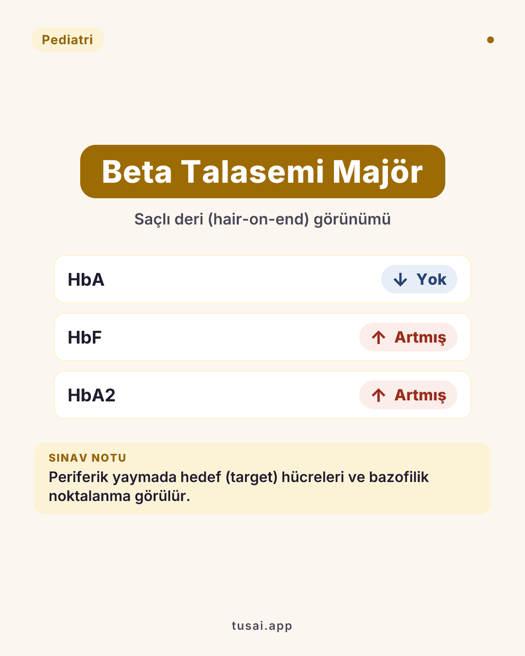 Beta Talasemi Majör (Cooley Anemisi): Periferik yaymada hedef (target) hücreleri ve bazofilik noktalanma. Grafide saçlı deri (hair-on-end) görünümü. Hb elektroforezinde HbA yoktur, HbF ve HbA2 artmıştır.