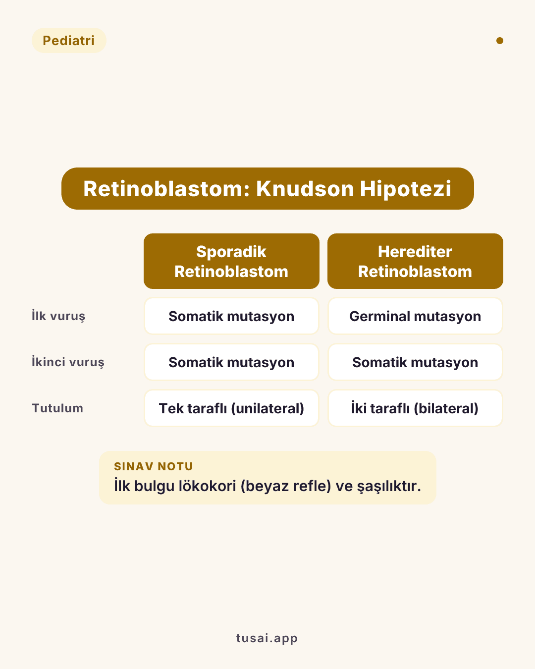 Retinoblastom ve Knudson Hipotezi: Çocukluk çağının en sık primer intraoküler malign tümörüdür. Fotoğraflarda veya muayenede göz bebeğinde beyaz parlama (Lökokori) ve şaşılık ile gelir. Patogenezinde 13q14 kromozomundaki Rb tümör süpresör geni sorumludur. Aile öyküsü olmayan, tek taraflı (unilateral) ve geç yaşta çıkan vakalarda Knudson'ın "iki vuruş (two-hit)" hipotezine göre her iki alleldeki mutasyon da somatiktir (sporadik). (Herediter/bilateral vakalarda ise ilk mutasyon germinaldir).