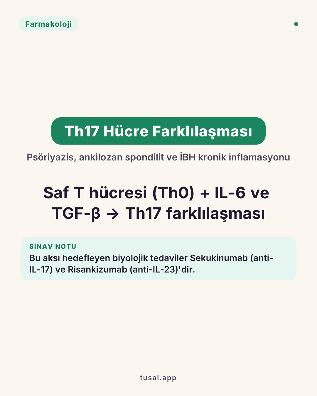 Otoimmünitede Th17 Aksı: Saf T yardımcı hücrelerinin (Th0), IL-6 ve TGF-β etkisiyle Th17 hücresine farklılaşması; sedef hastalığı (psöriyazis), ankilozan spondilit ve inflamatuar bağırsak hastalıklarının (İBH) kronik inflamasyon sürecinden sorumludur. Bu aksı hedefleyen biyolojik tedaviler (Anti-IL-17: Sekukinumab; Anti-IL-23: Risankizumab) modern immünofarmakolojinin temelidir.