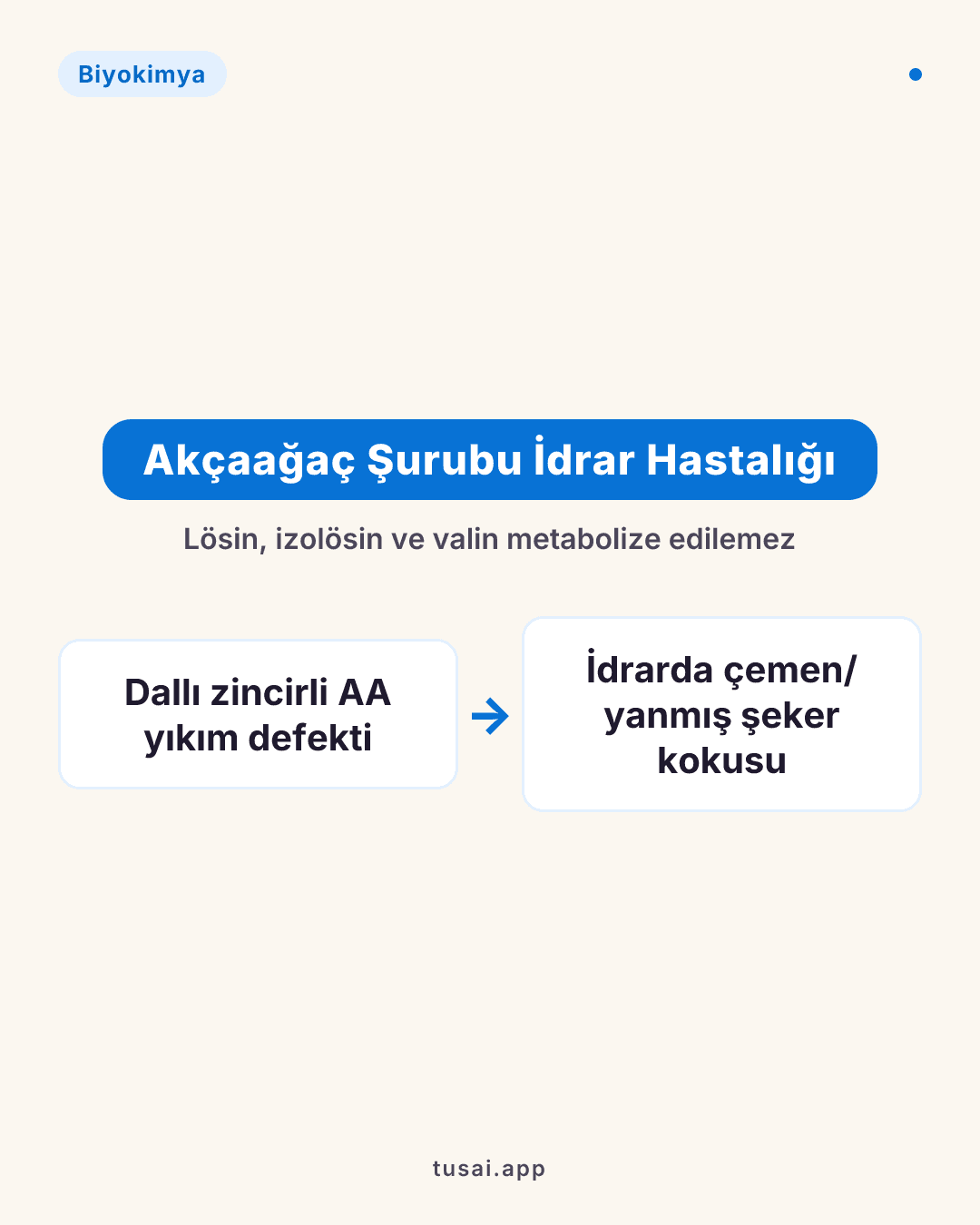 Akçaağaç Şurubu İdrar Hastalığı (MSUD): Dallı zincirli aminoasitler (Lösin, İzolösin, Valin) metabolize edilemez. İdrarda çemen otu / yanmış şeker kokusu olur.