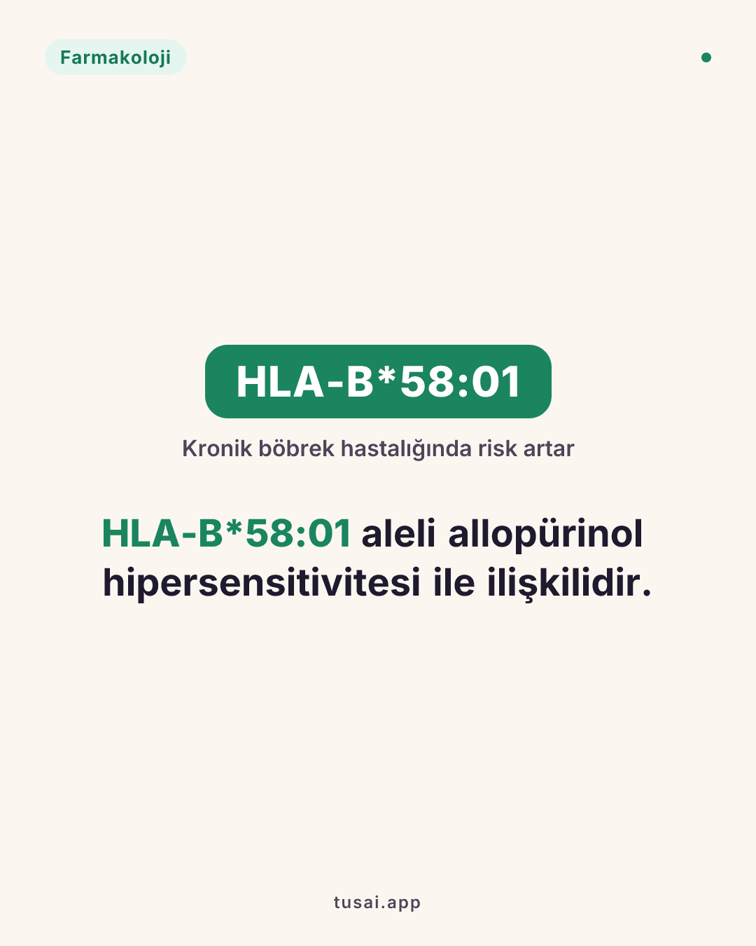 HLA-B*58:01: Gut tedavisinde Allopürinol hipersensitivitesi (özellikle KBH olan hastalarda ciddi risk).